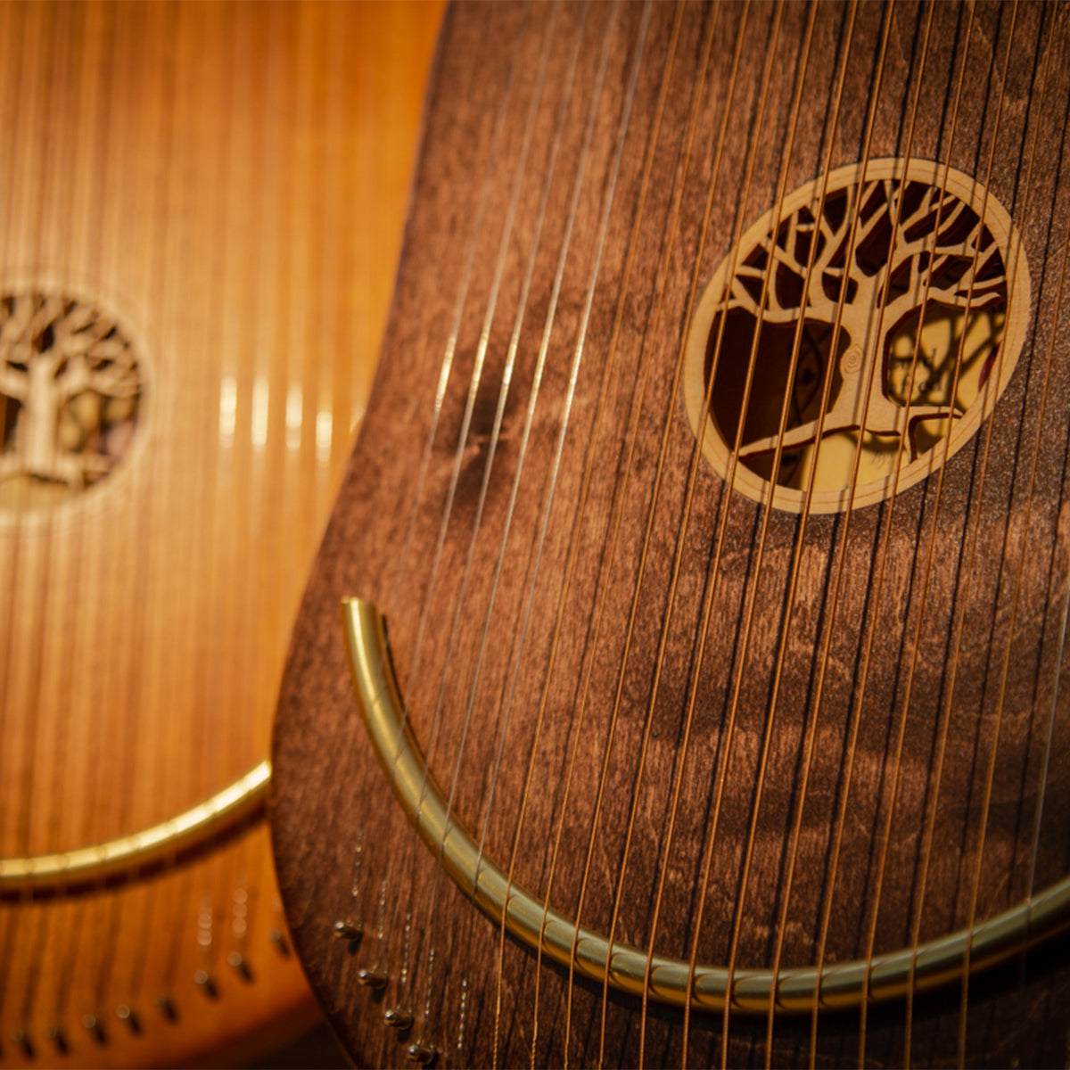 Harfen, Monochorde, Reverie & Kotamo | Musikinstrumente | Dunum Musikgeschäft