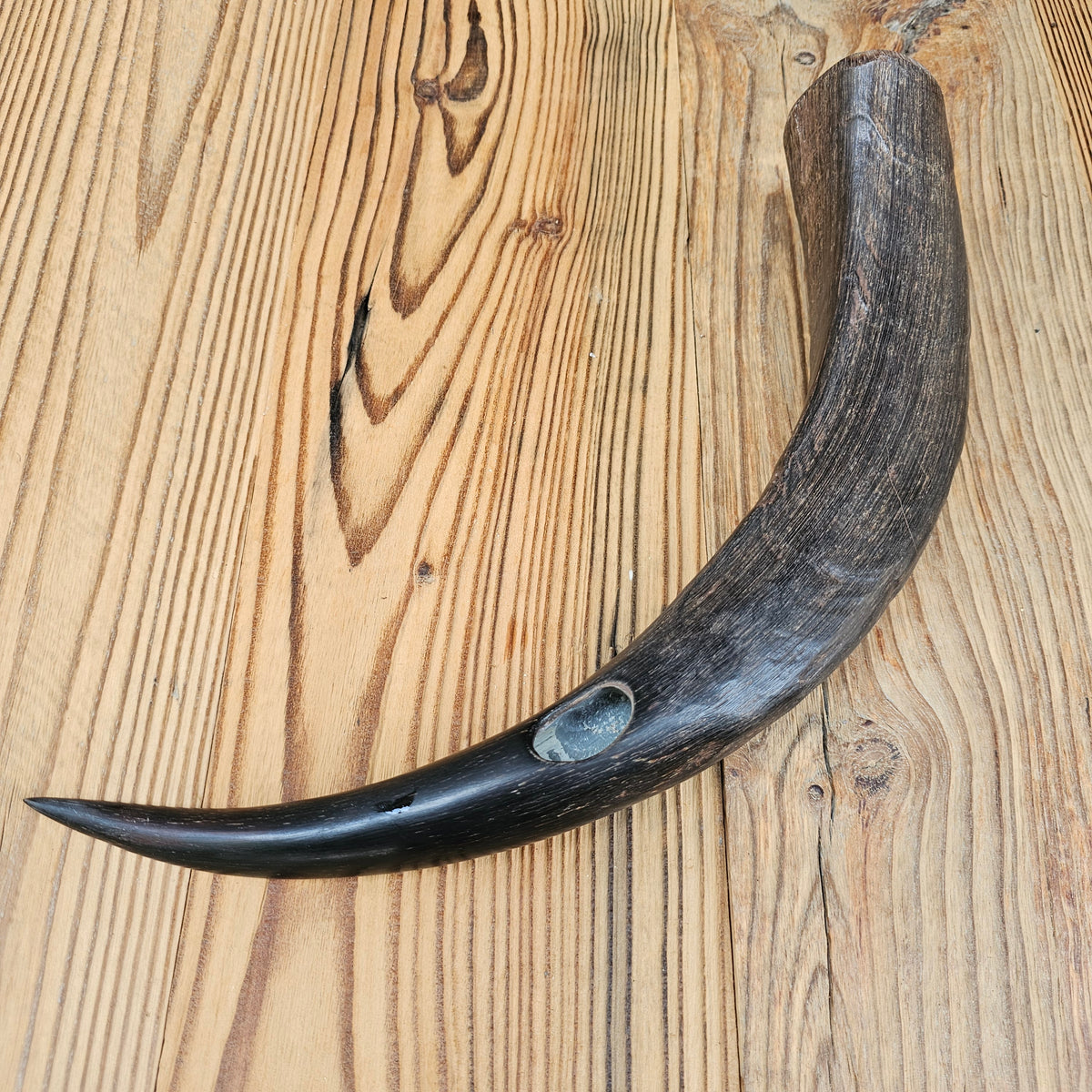 Kudu Horn