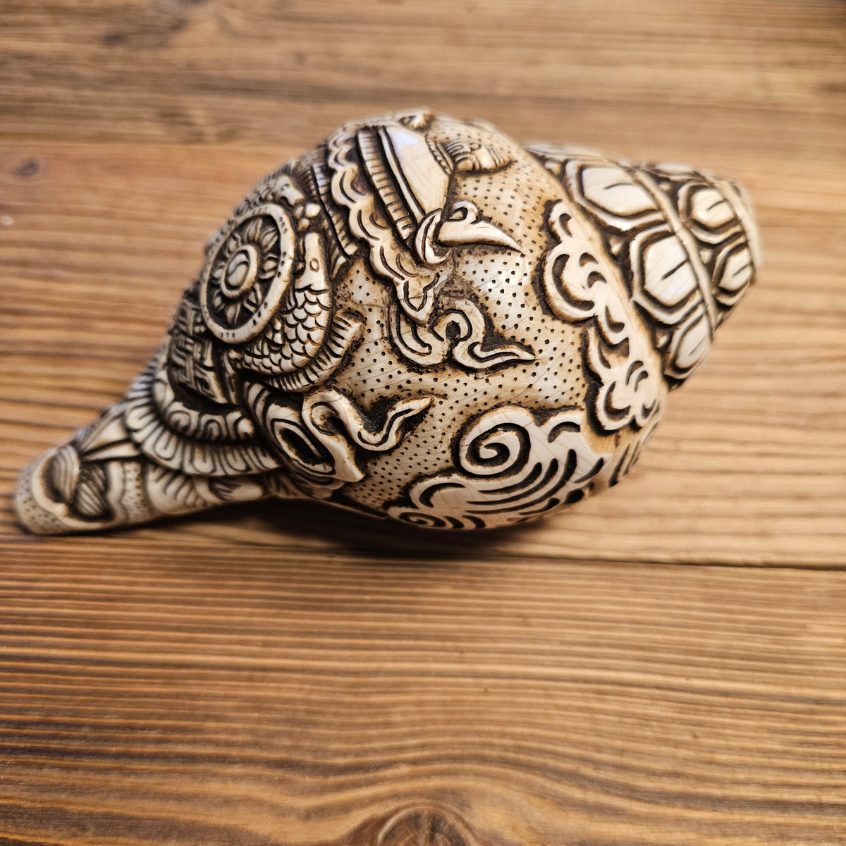 Muschelhorn Rad des Dharma