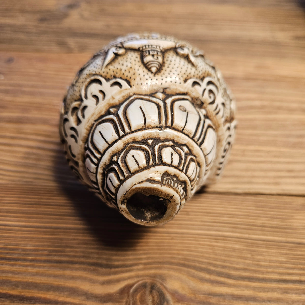 Muschelhorn Rad des Dharma