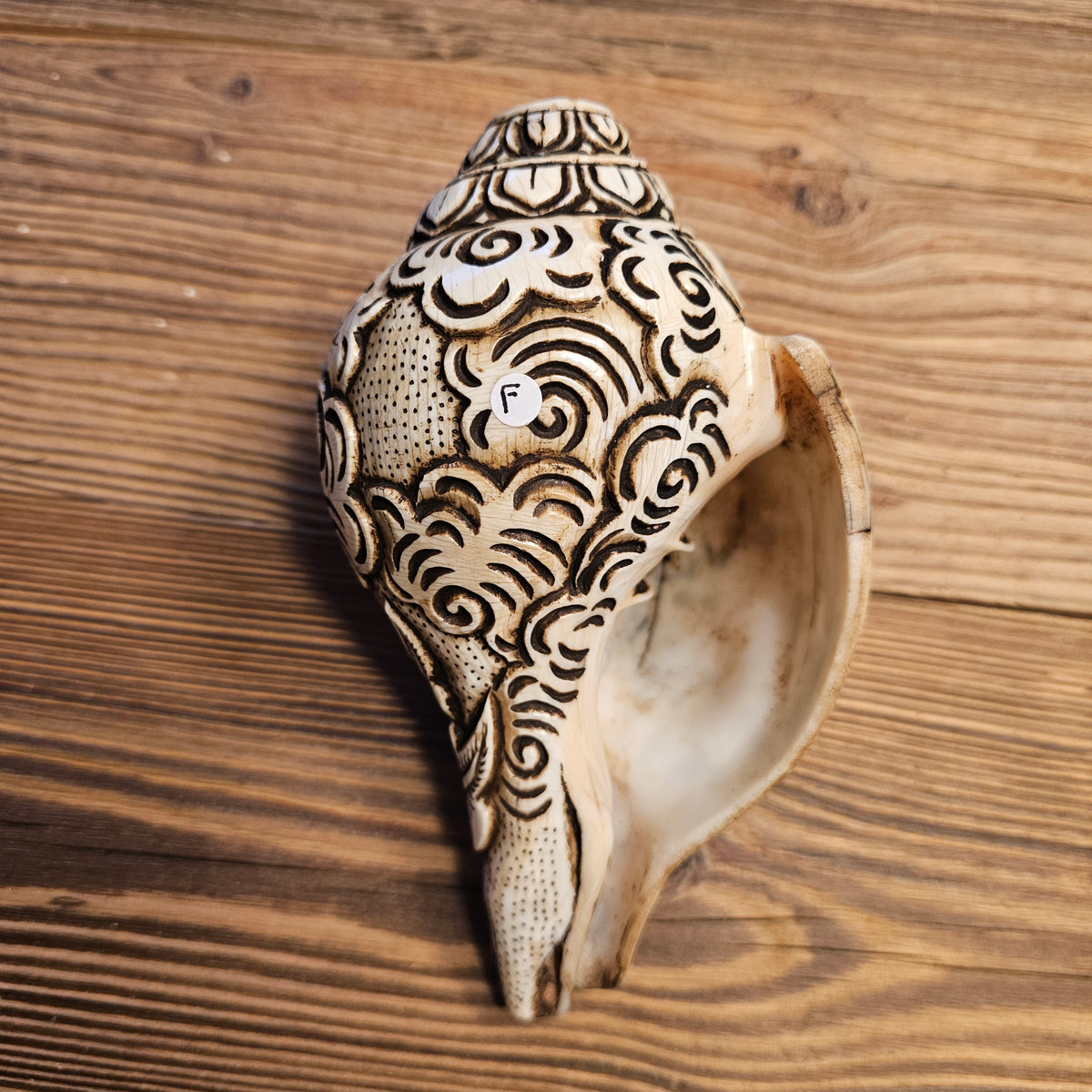 Muschelhorn Rad des Dharma