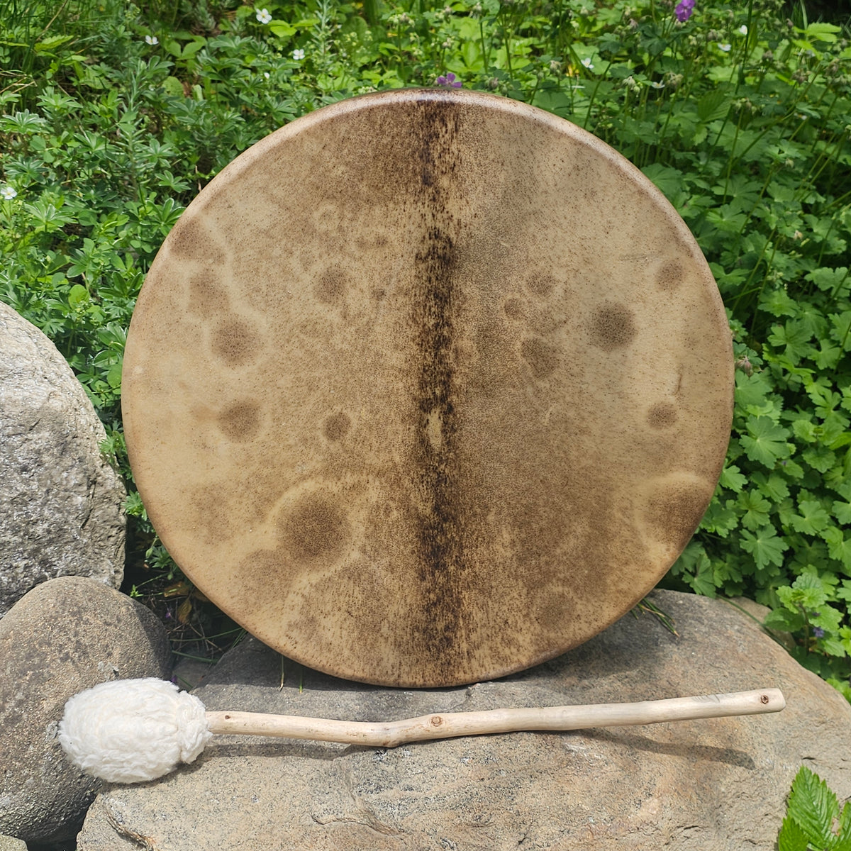 Tambour chamanique pleine lune ø 35 cm - chamois