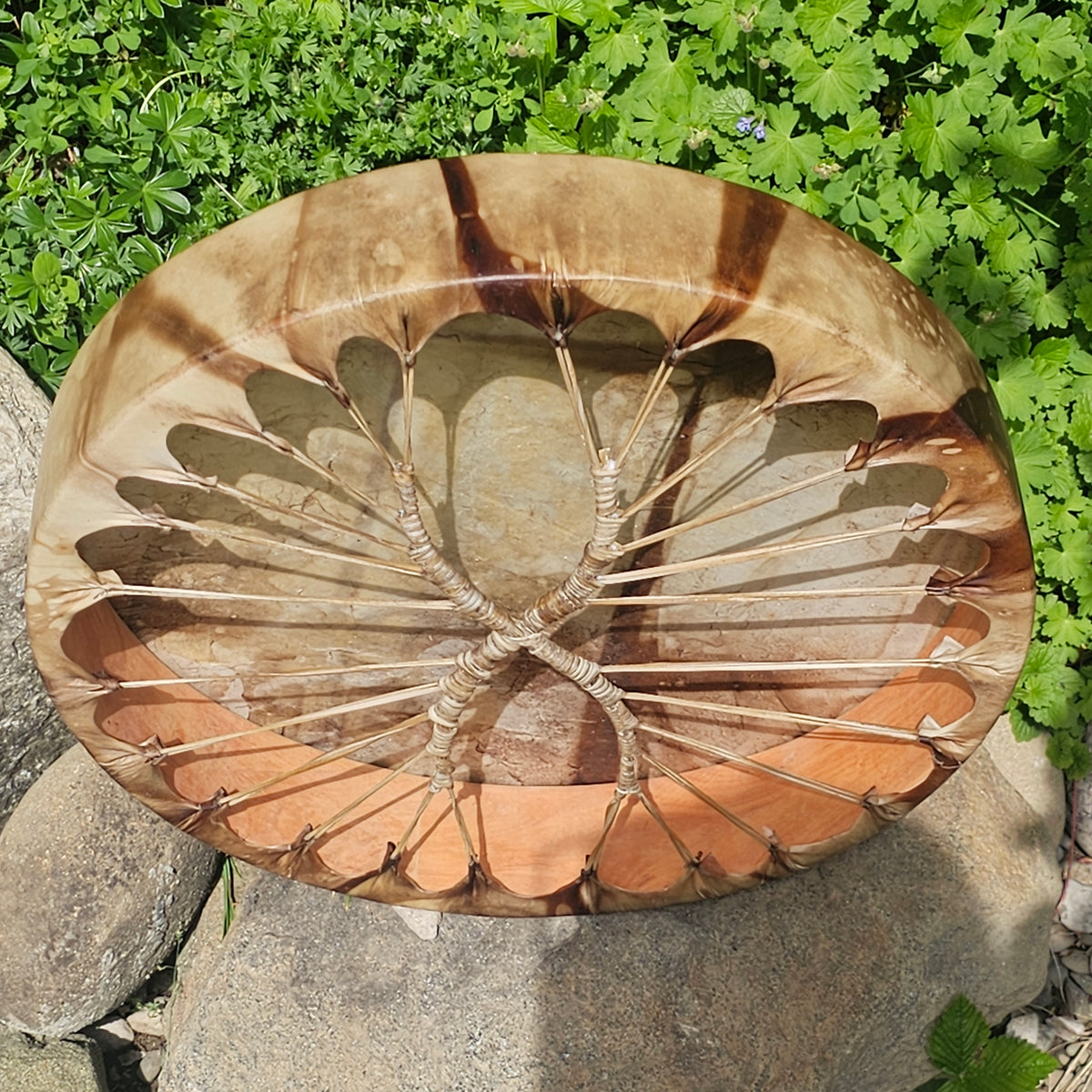 Tambour chamanique pleine lune ø 45 cm - Cerf
