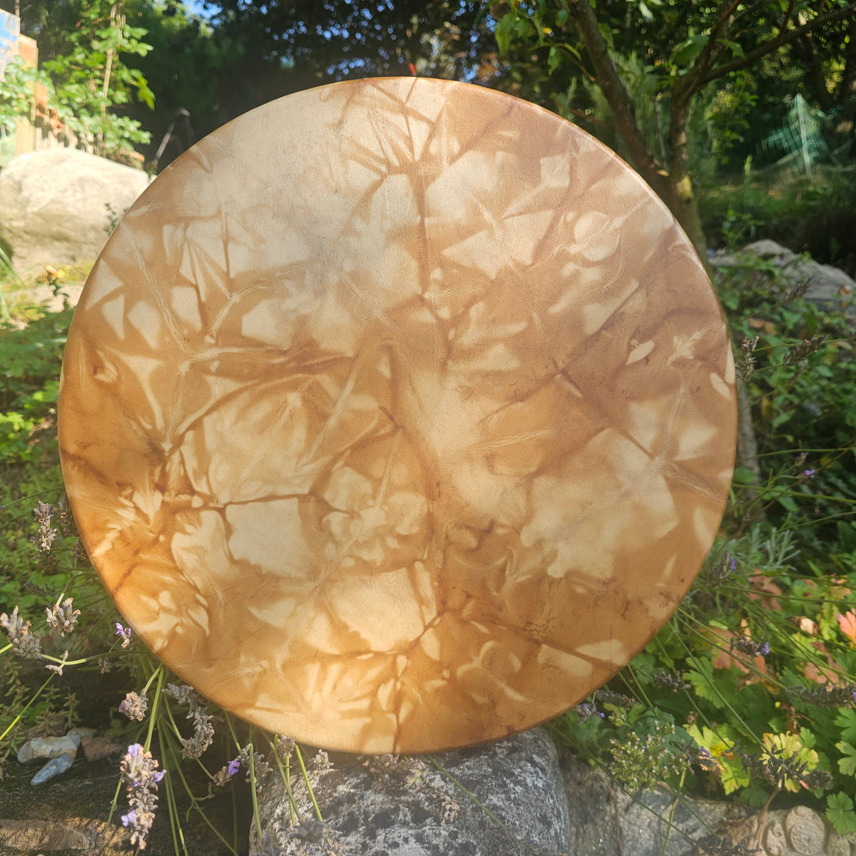 Full moon shaman drum ø 40 cm - deer larch