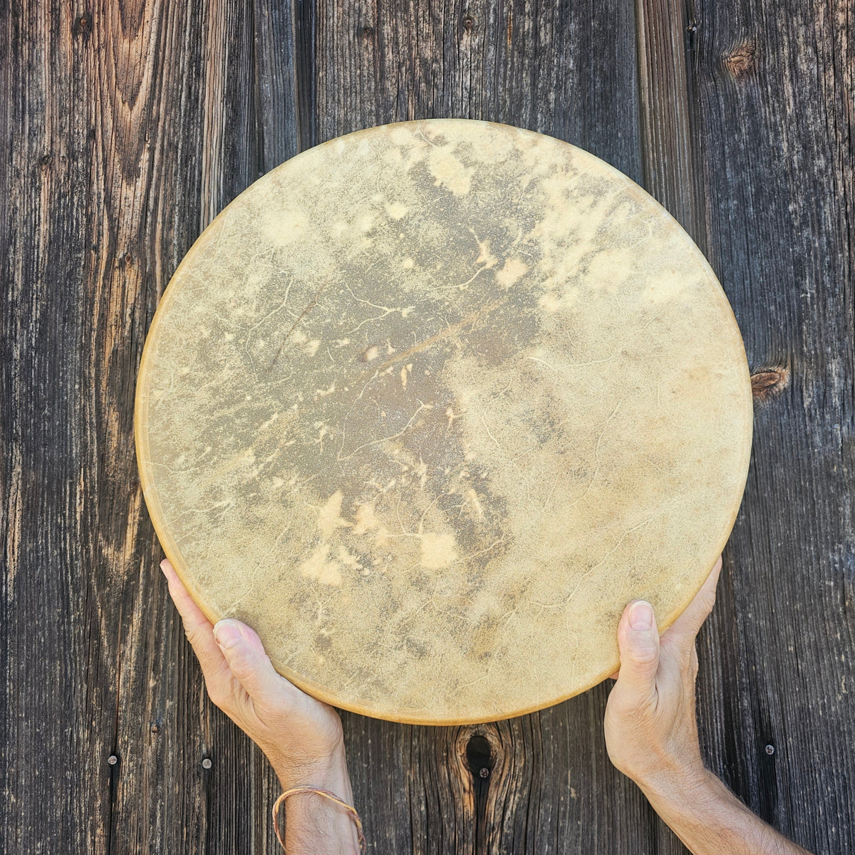 Tambour iAmérique du Native ø 40 cm - cerf