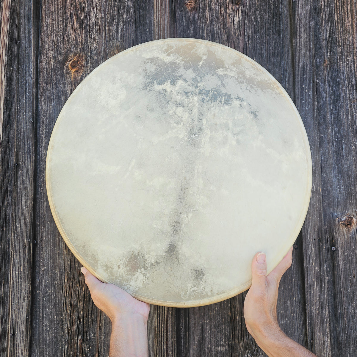 Native American drum ø 45 cm - Deer