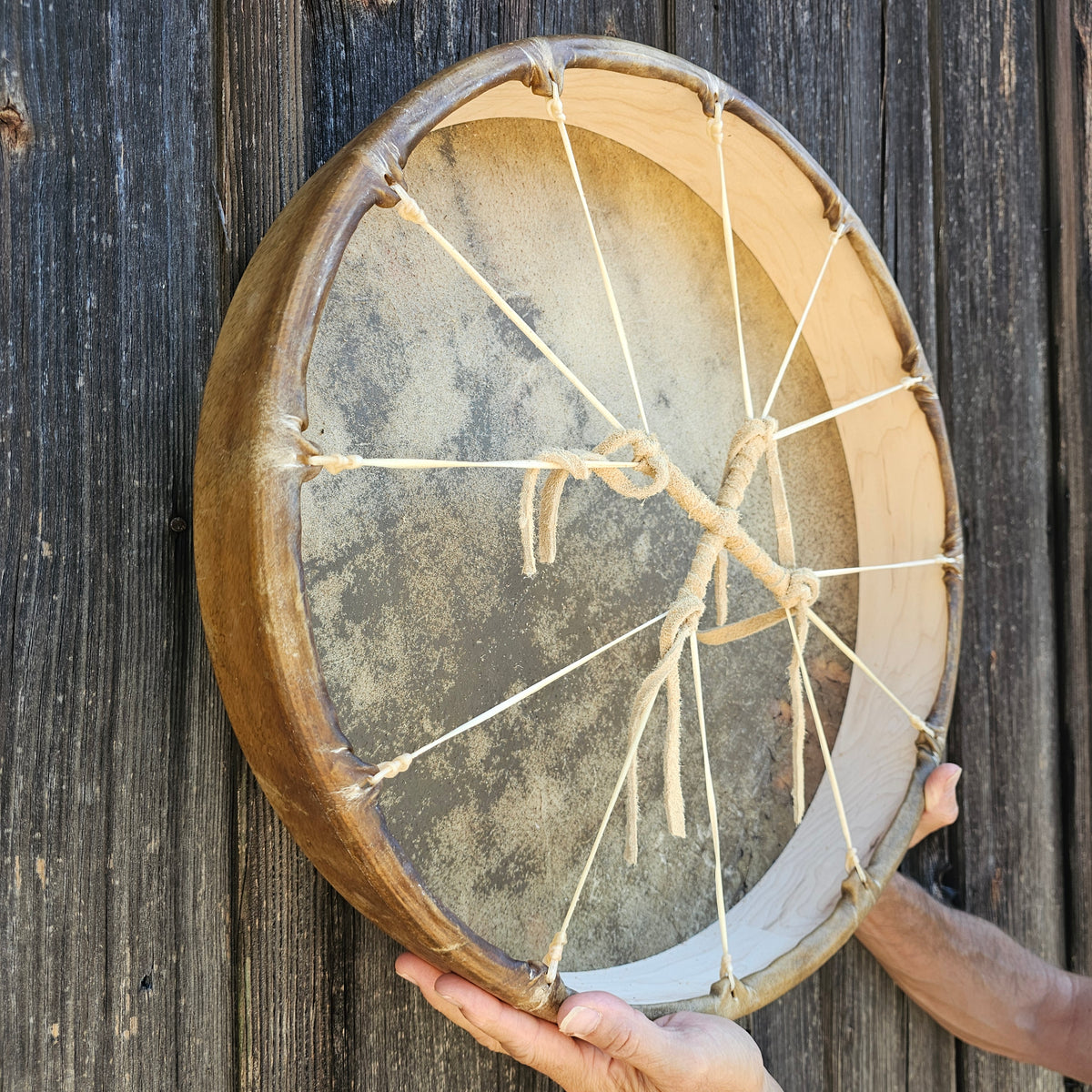 Tambour Amérique du Native ø 50 cm - Bison
