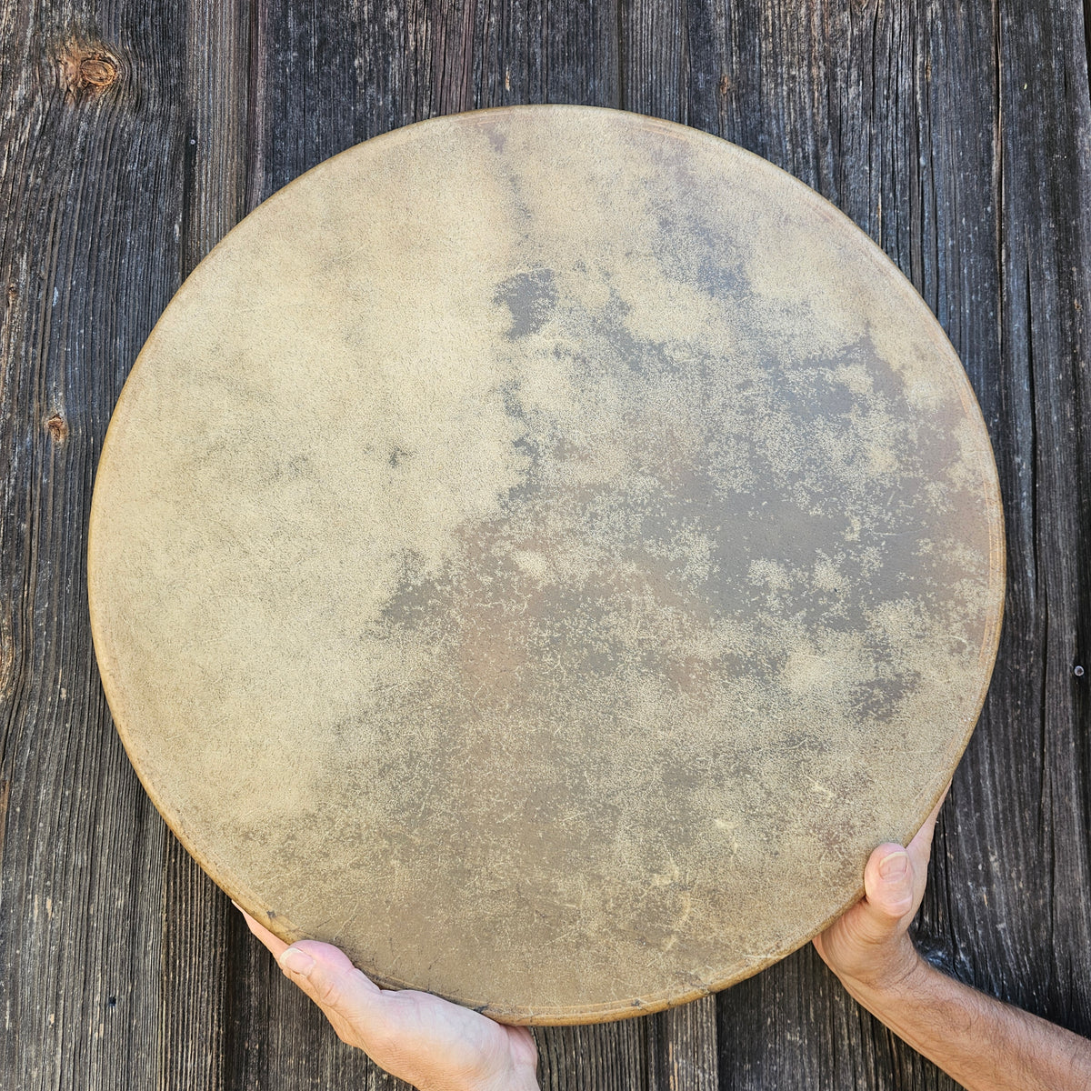 Tambour Amérique du Native ø 50 cm - Bison