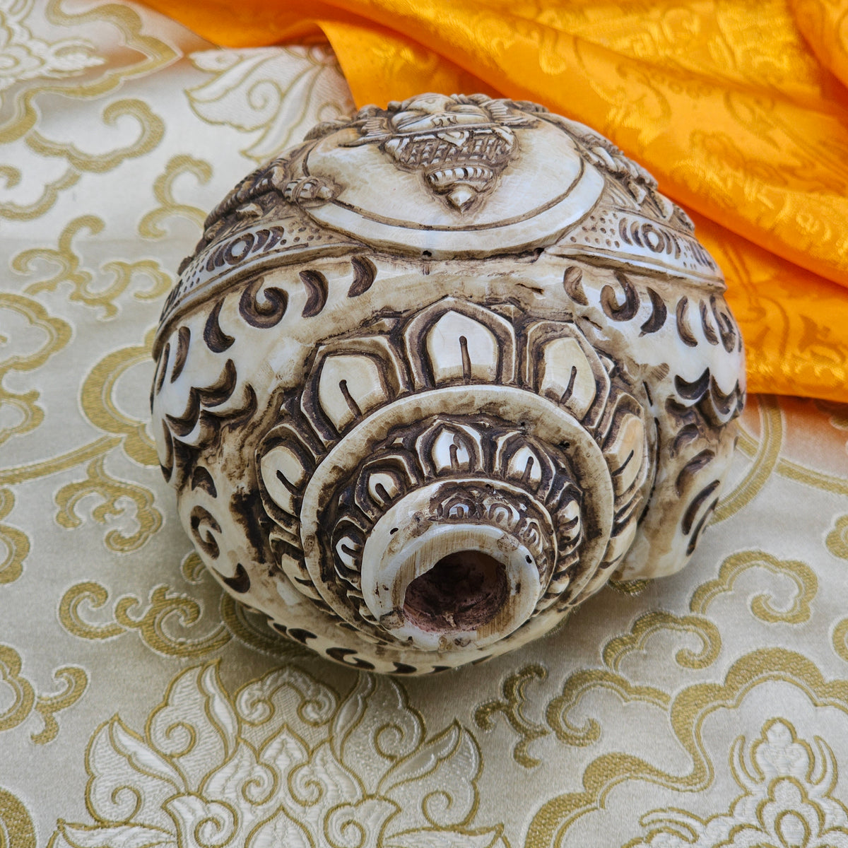Muschelhorn Ganesh