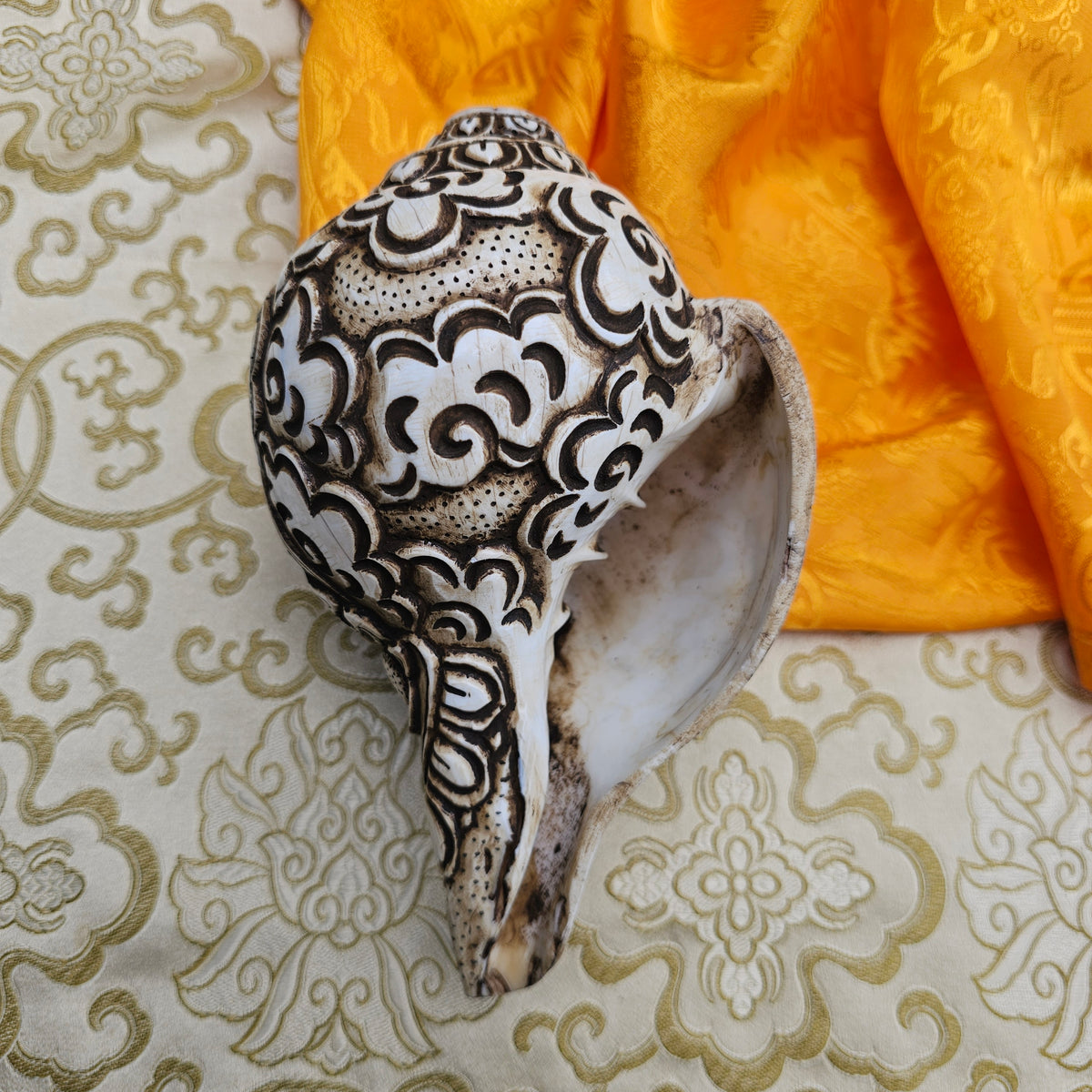 Muschelhorn Avalokiteśvara