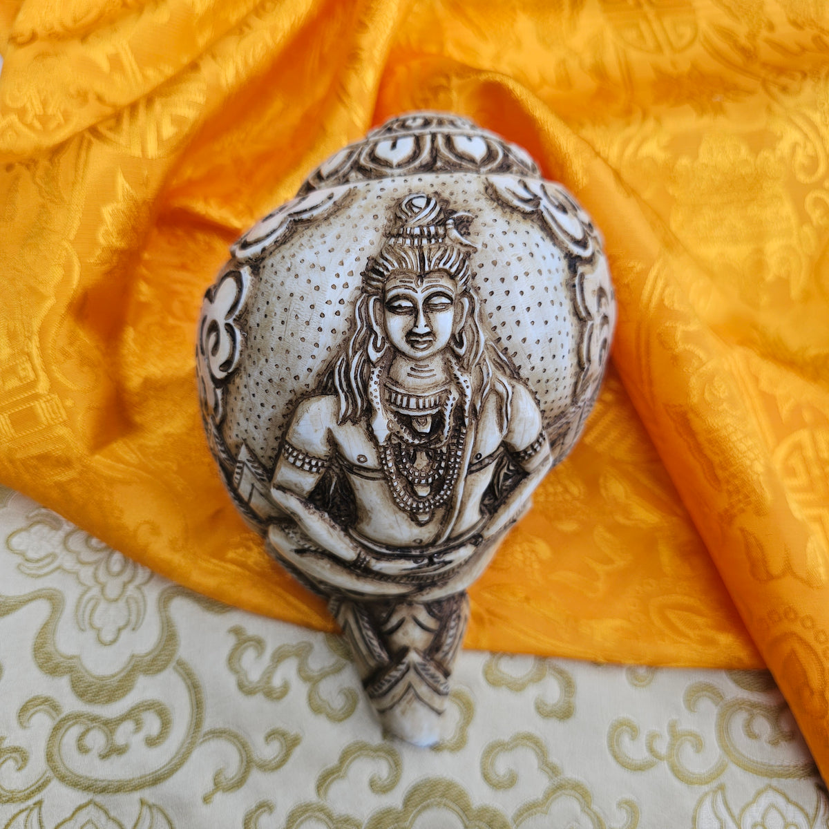Muschelhorn Shiva