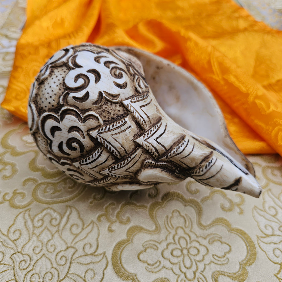 Muschelhorn Shiva
