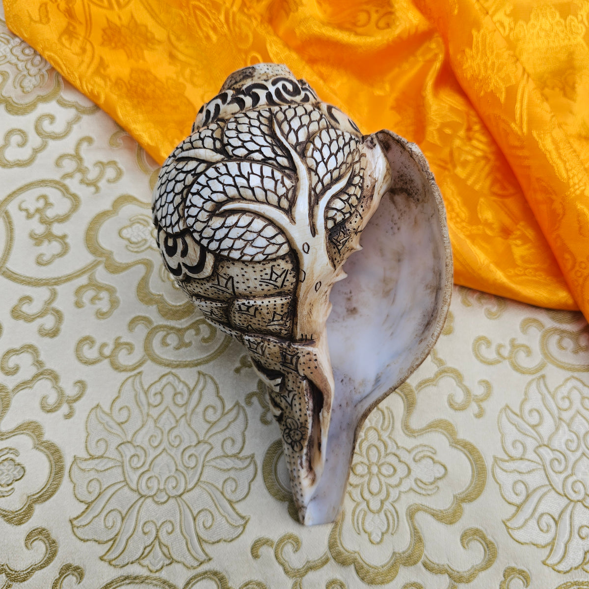 Muschelhorn Krishna