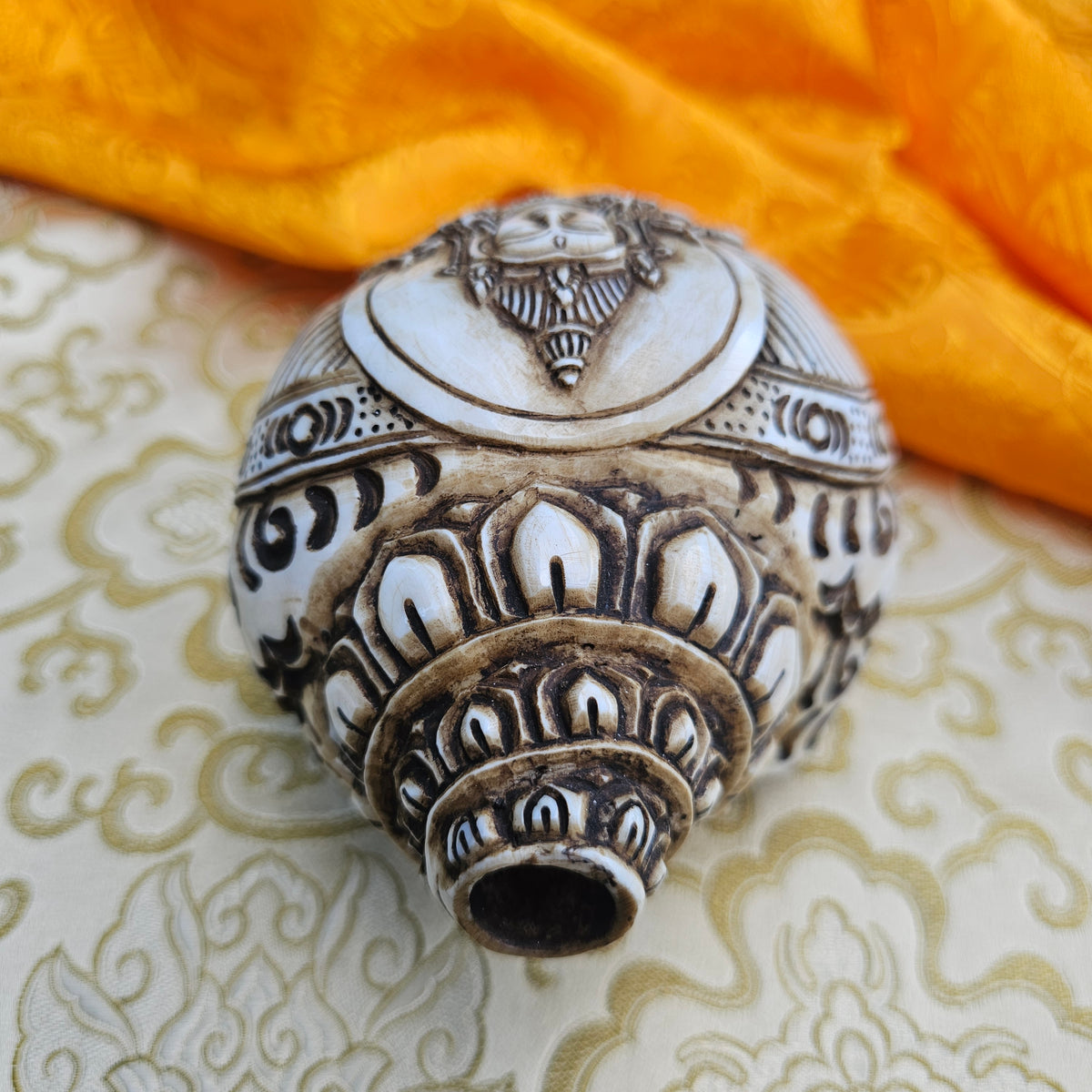 Muschelhorn Aparmita