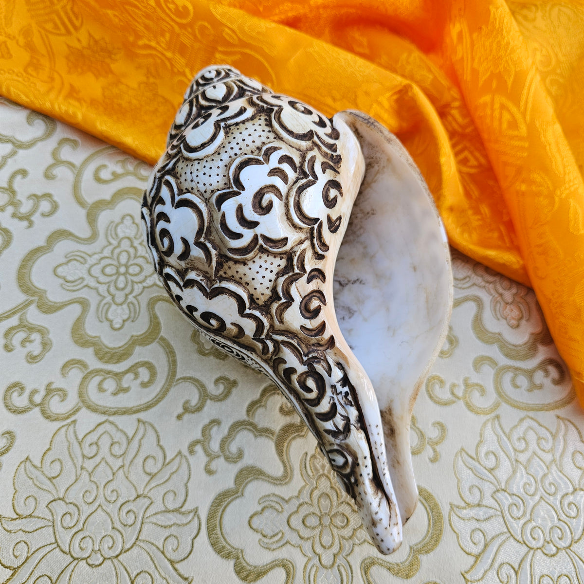 Muschelhorn