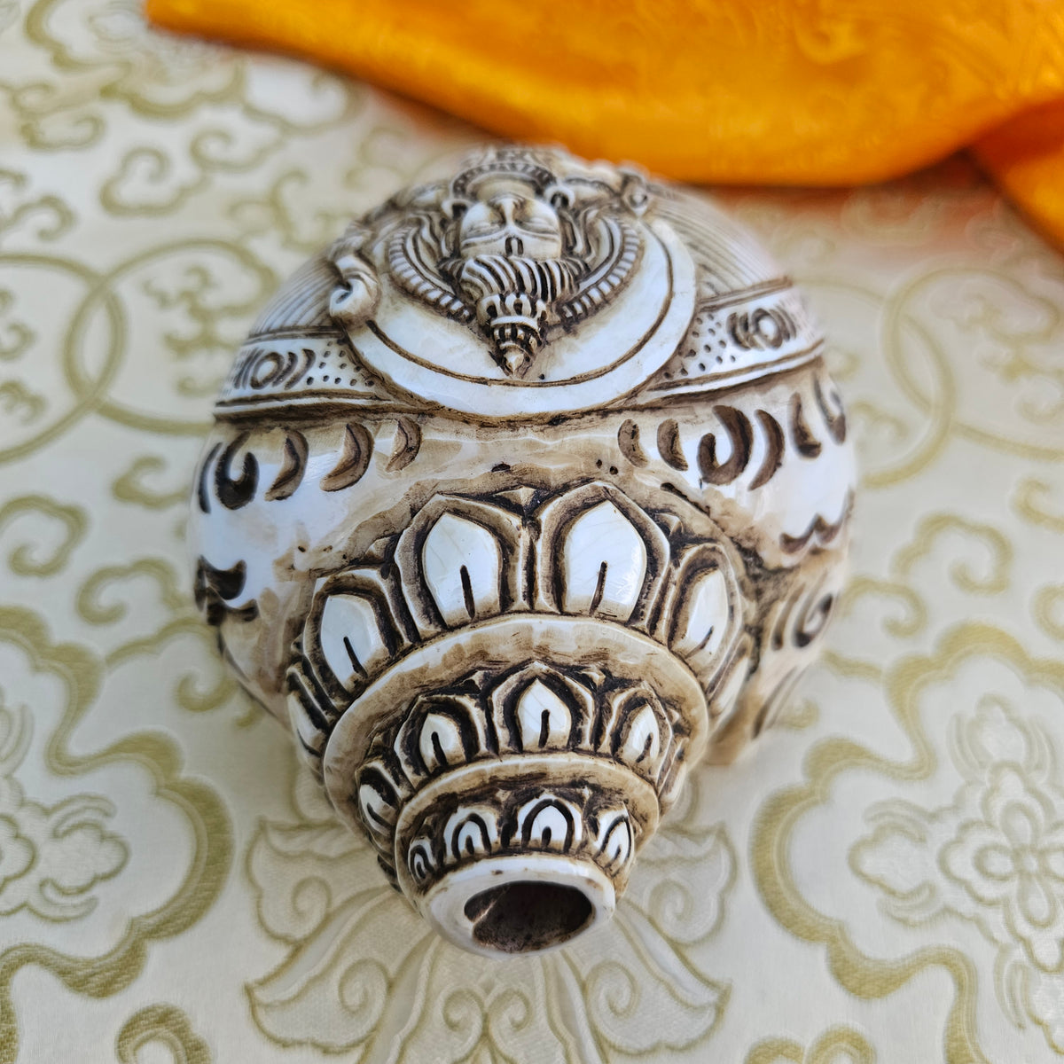 Muschelhorn