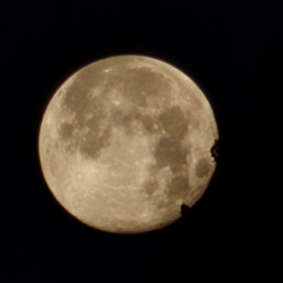 Vollmond Schamanentrommel ø 45 cm| Hirsch | Esche