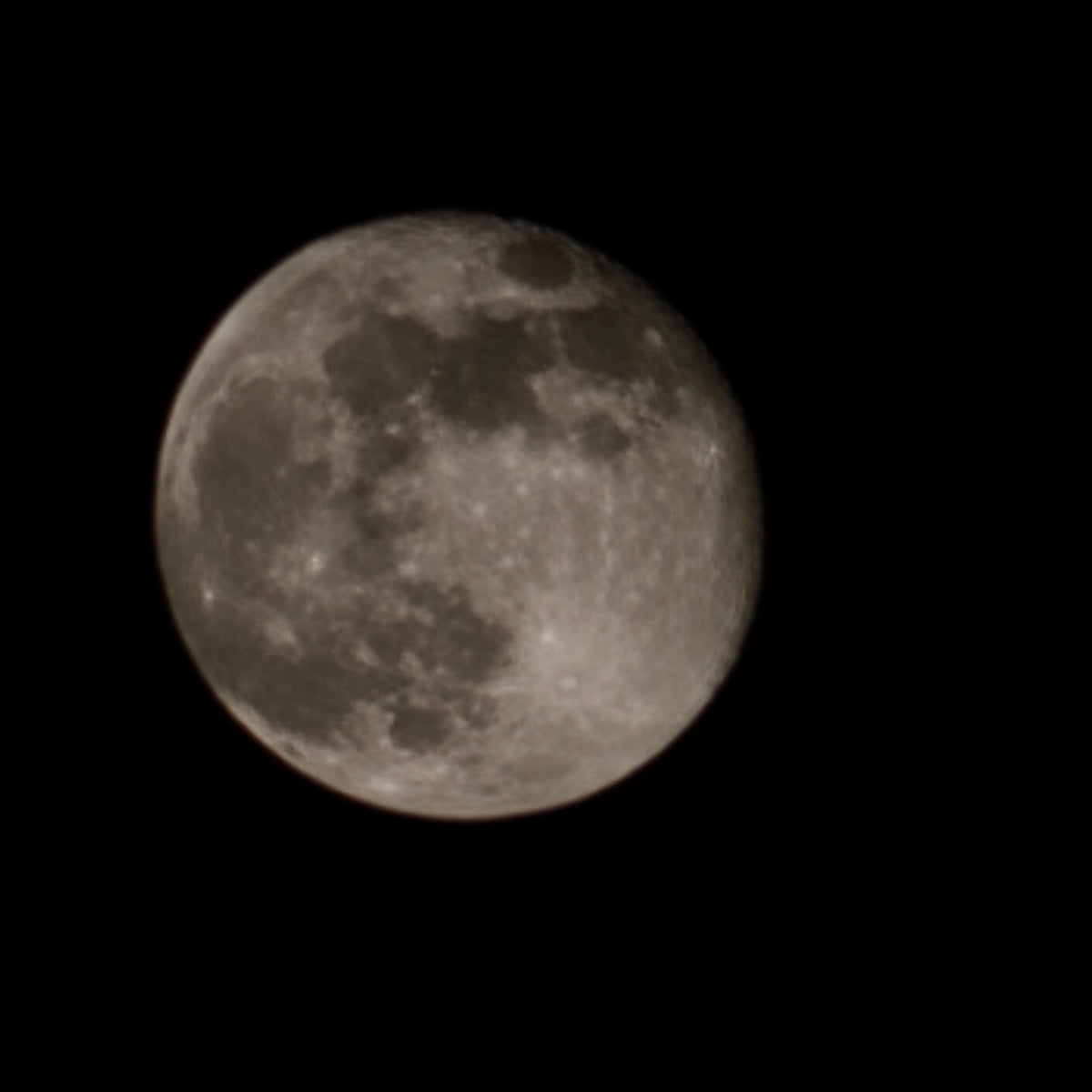 Tambour chamanique « Pleine Lune », ø 46 cm | Cerf | Bouleau