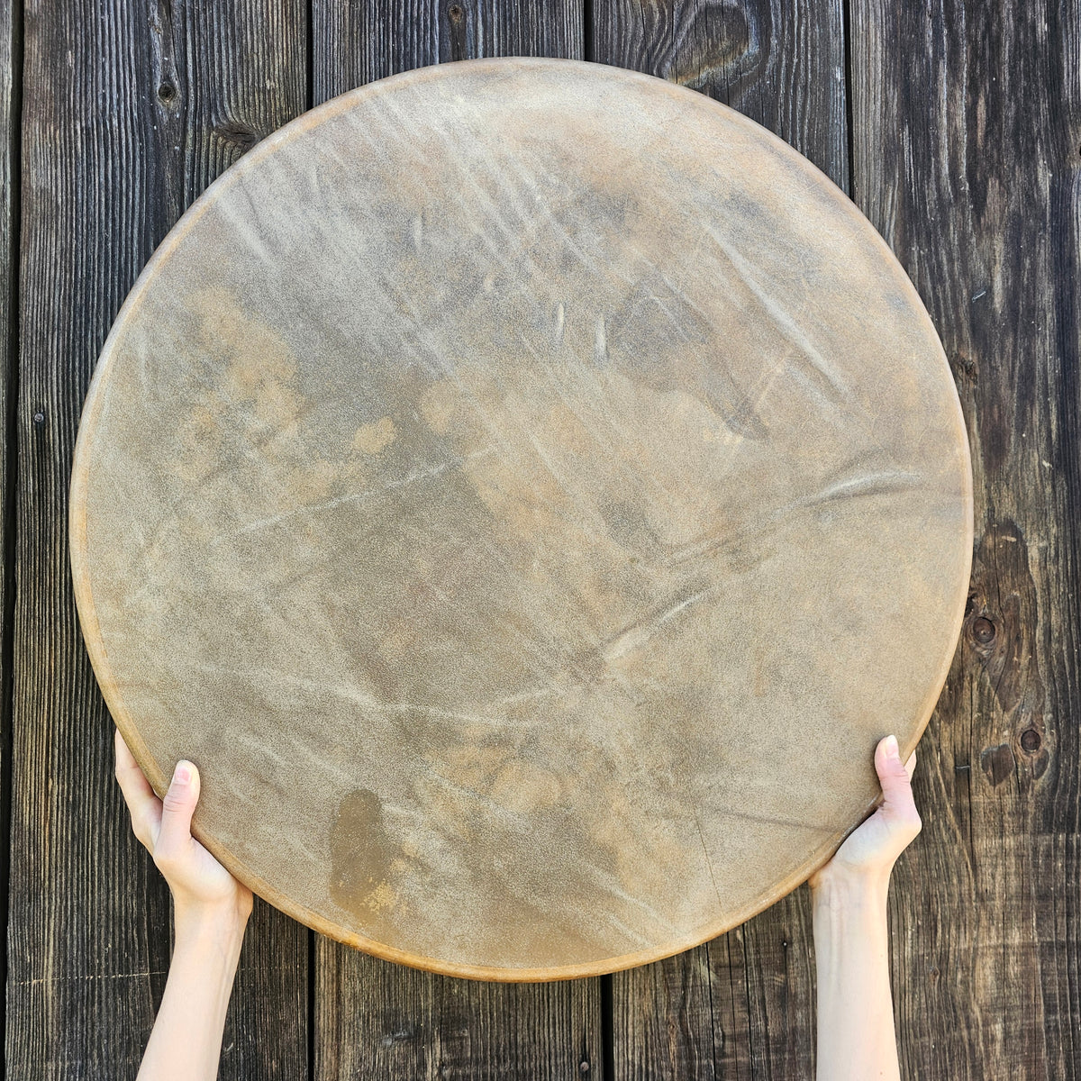 Tambour rituel ø 60 cm - Bison