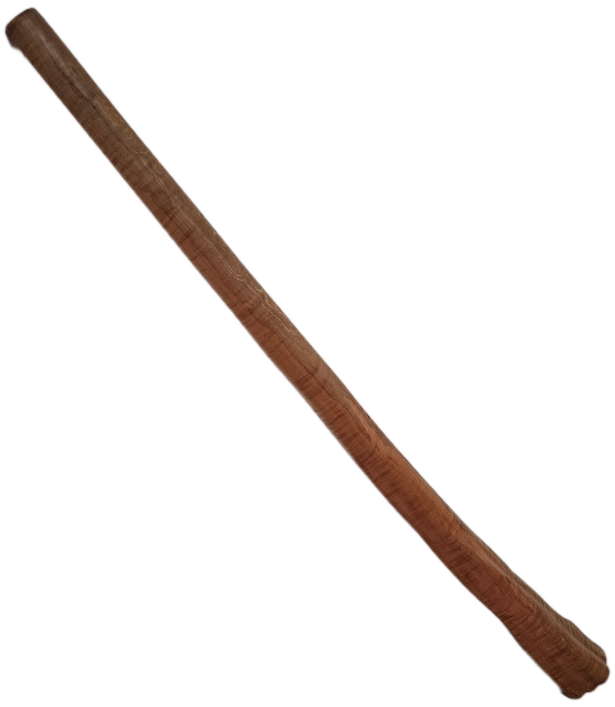 CH Didgeridoo - Birnbaum