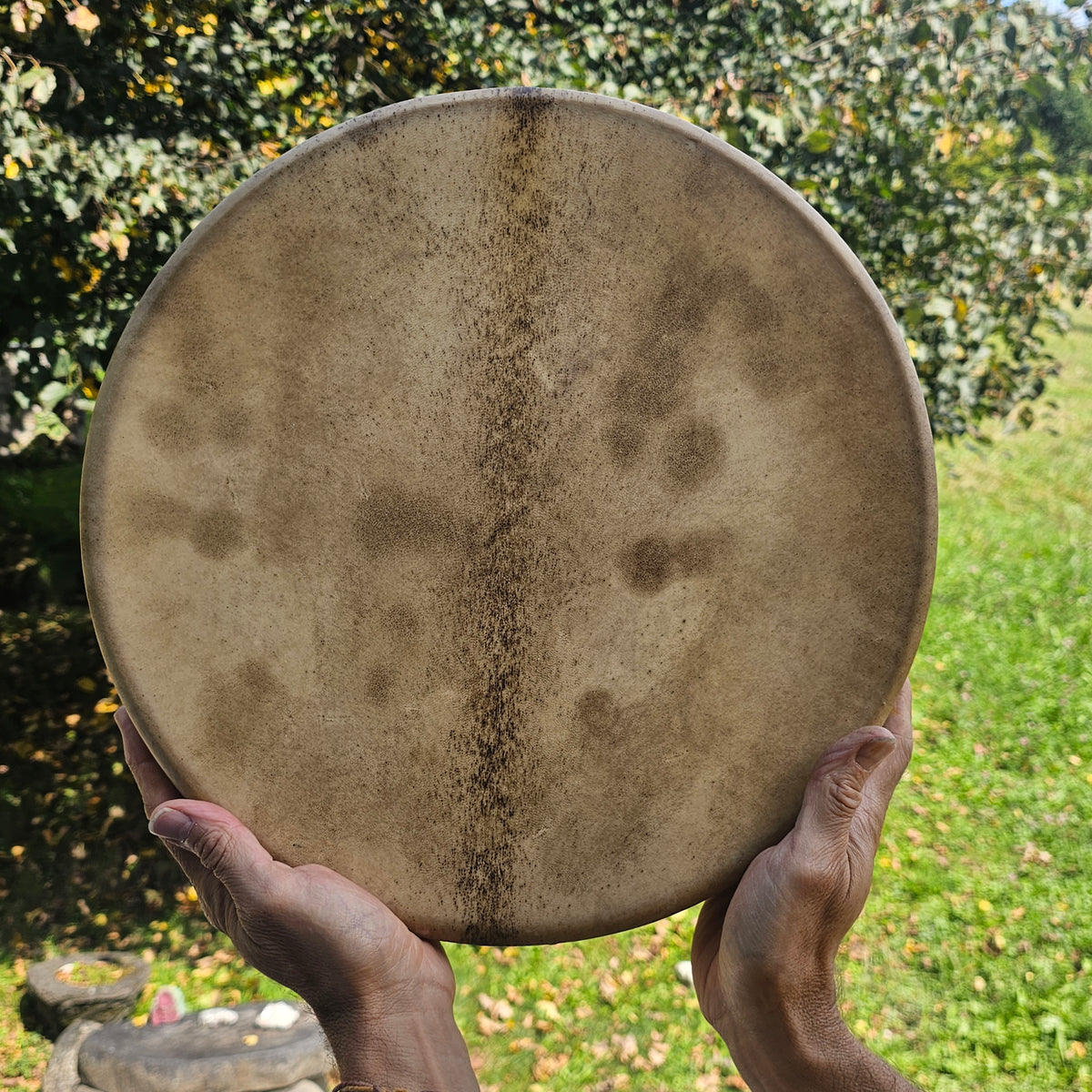 Neumond Schamanentrommel ø 35 cm - stimmbar - Gemse (Kopie)