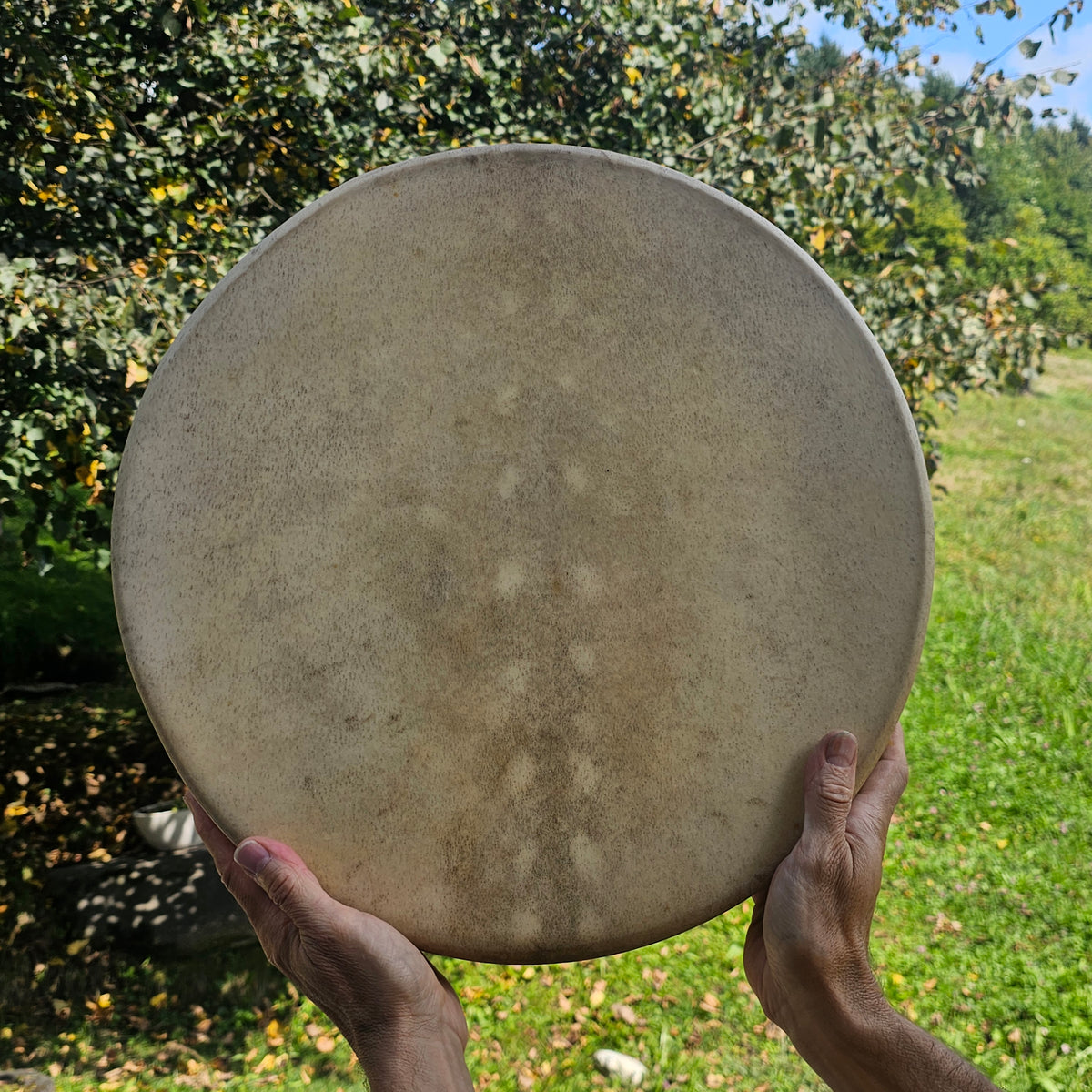 New moon shaman drum ø 40 cm - tunable - fallow deer