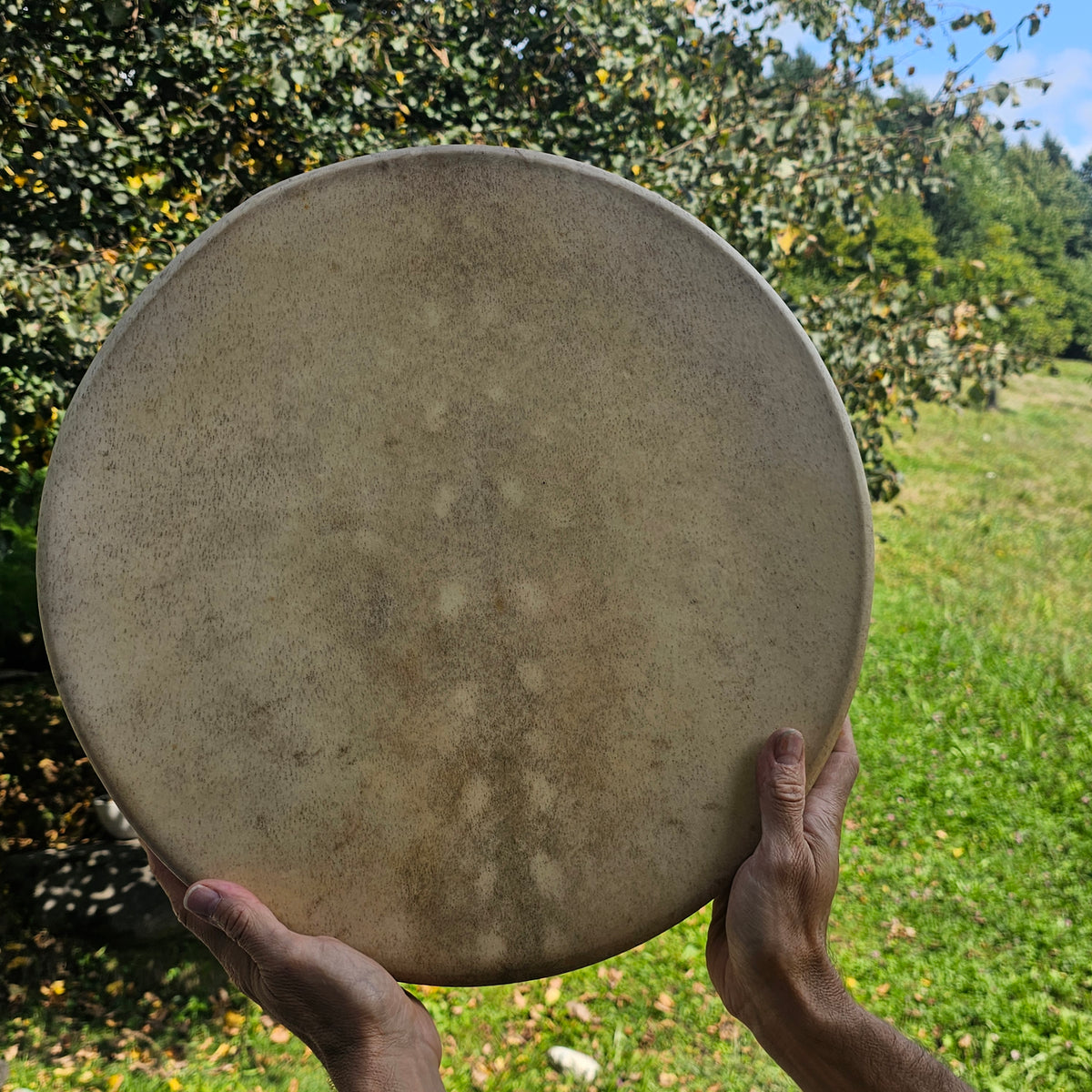 New moon shaman drum ø 40 cm - tunable - fallow deer