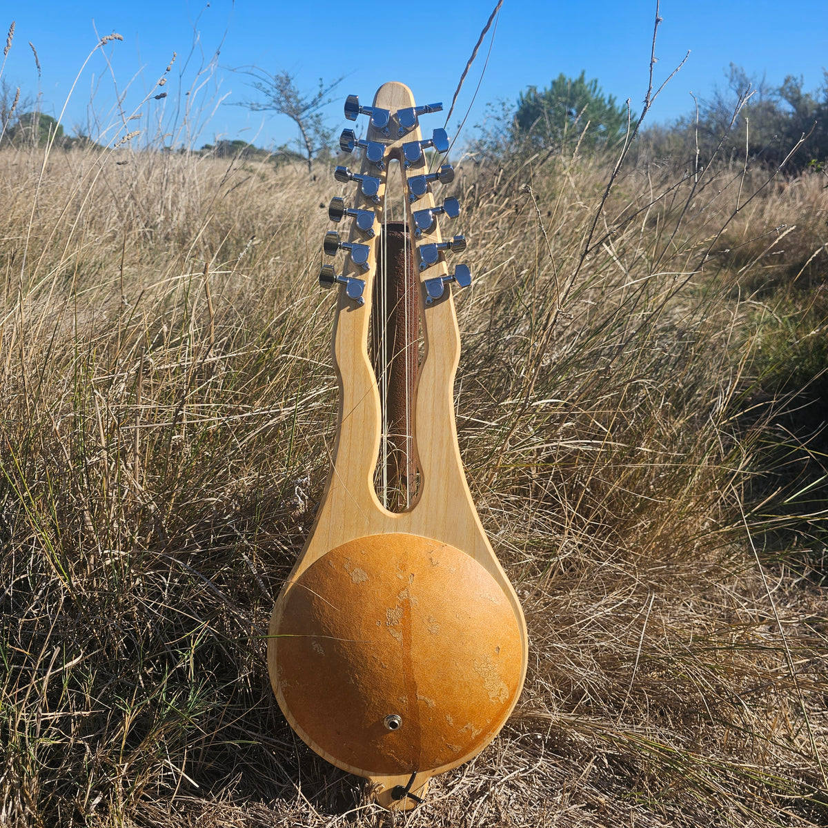 Gonilele 10 or 12 strings
