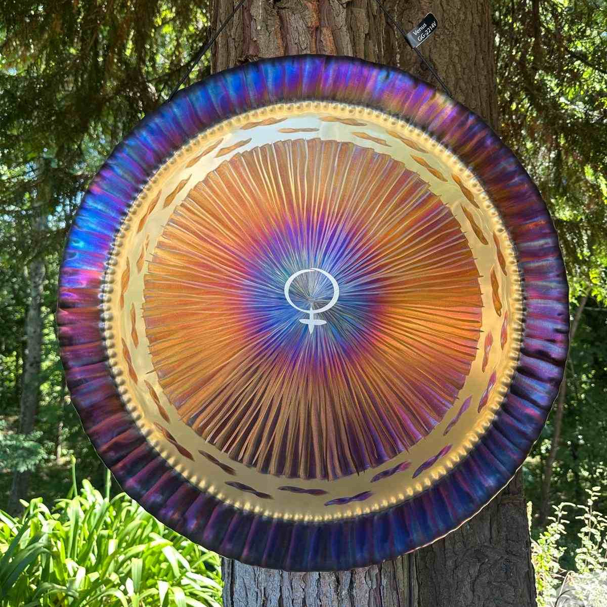65 cm - Universe Planetengong - Venus