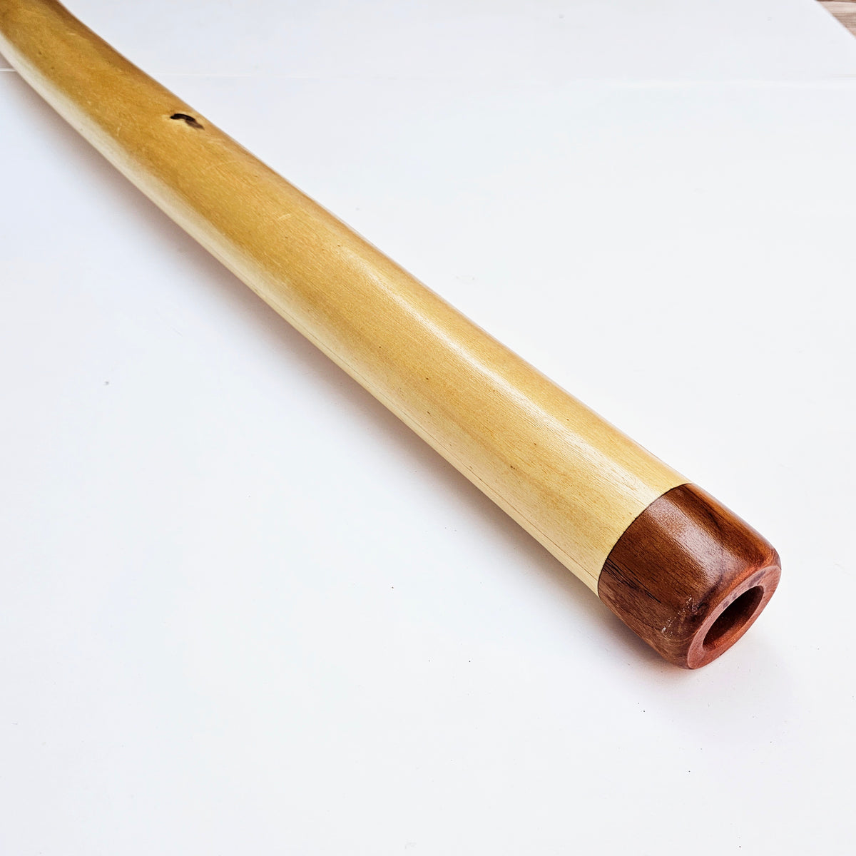 Proline Didgeridoo Eukalyptus| Didgeridoo| Dunum.ch