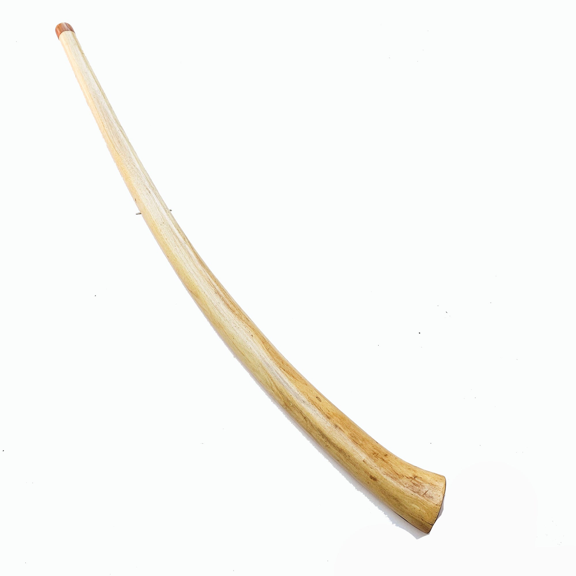 Proline Didgeridoo Eukalyptus| Didgeridoo| Dunum.ch