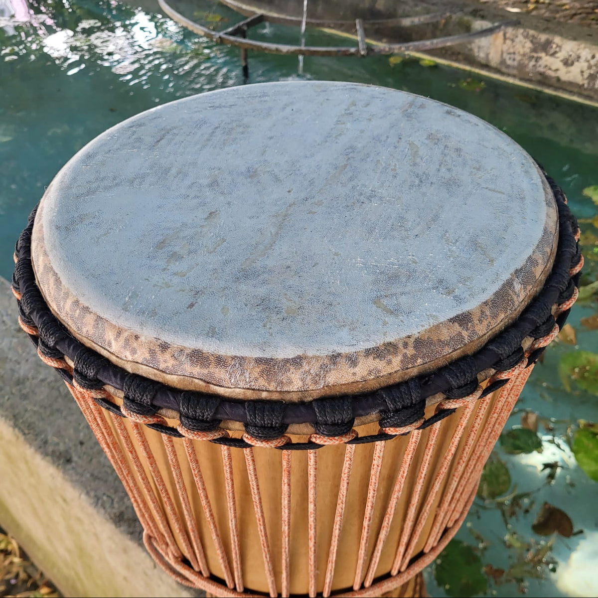 Djembé PRO de Guinée 35 Ø cm, H 64 cm
