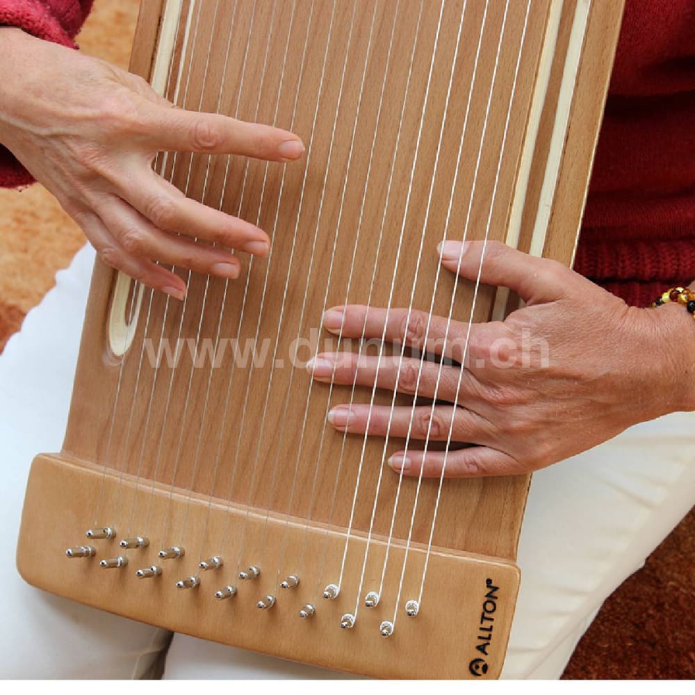 Allton Spür-Monochord „Wölbi“, Buche | Saiteninstrumente | Monochorde Reverie & Kotamo | Dunum.ch