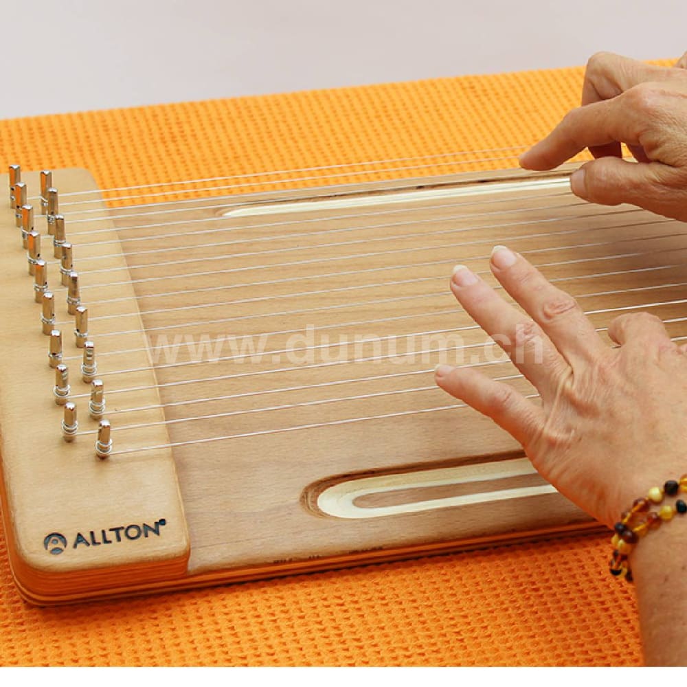 Allton Spür-Monochord „Wölbi“, Buche | Saiteninstrumente | Monochorde Reverie & Kotamo | Dunum.ch