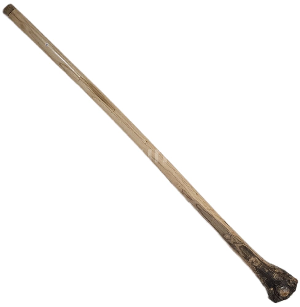 Bellend Didge Proline Eukalyptus D