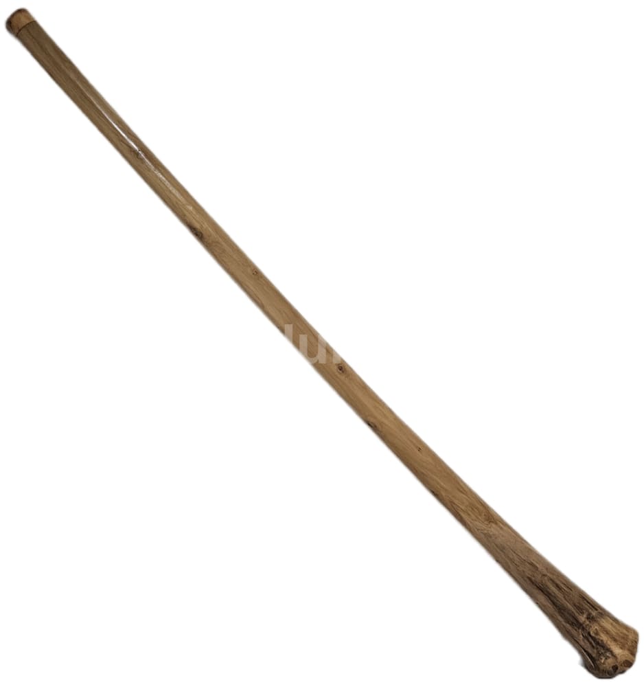 Bellend Didge Proline Eukalyptus D 432 Hz