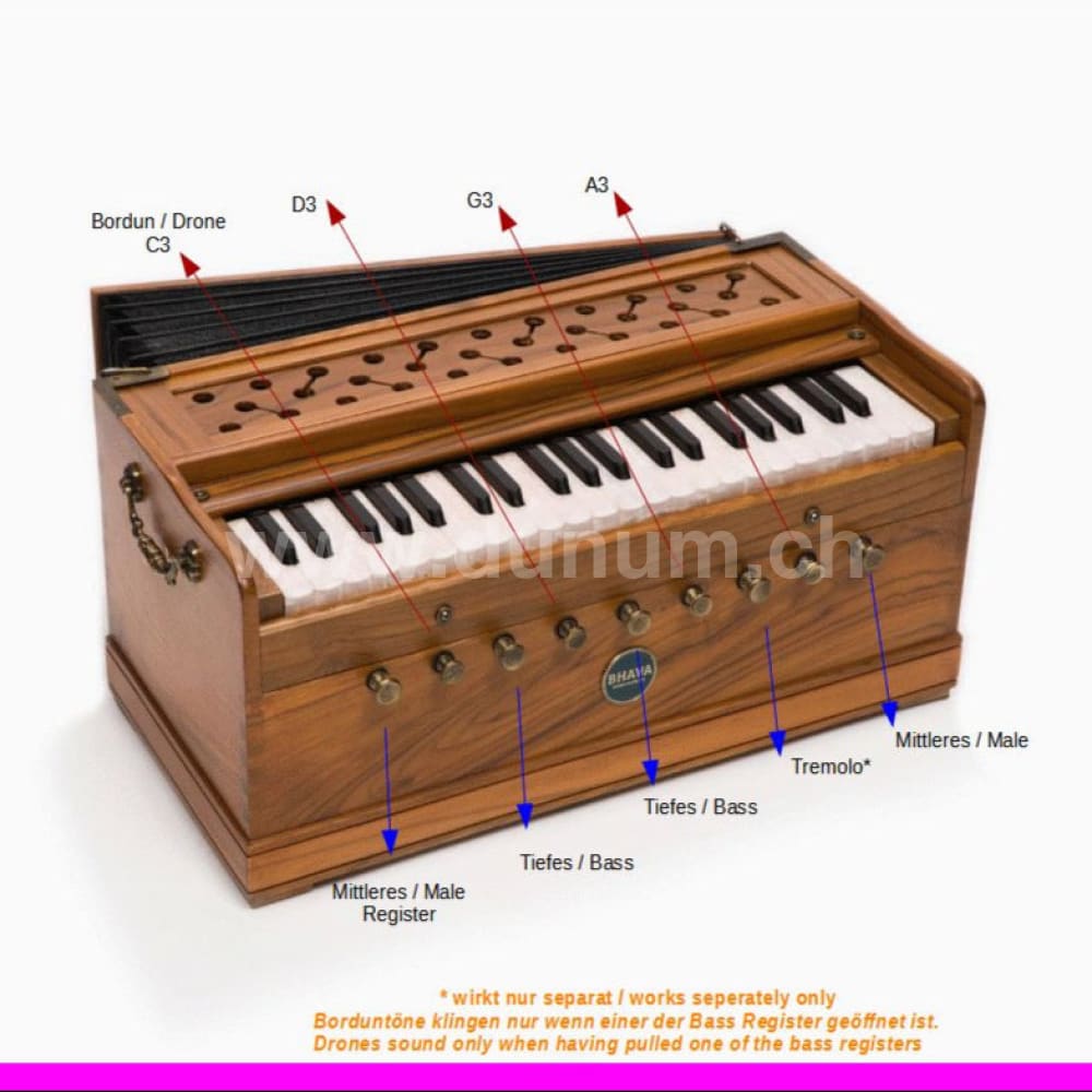 Bhava Studio Concert Teak