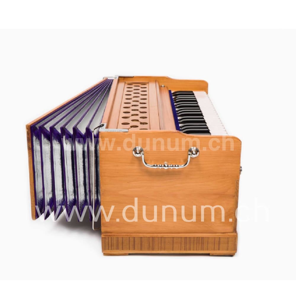 Bhava Studio Standart Edition