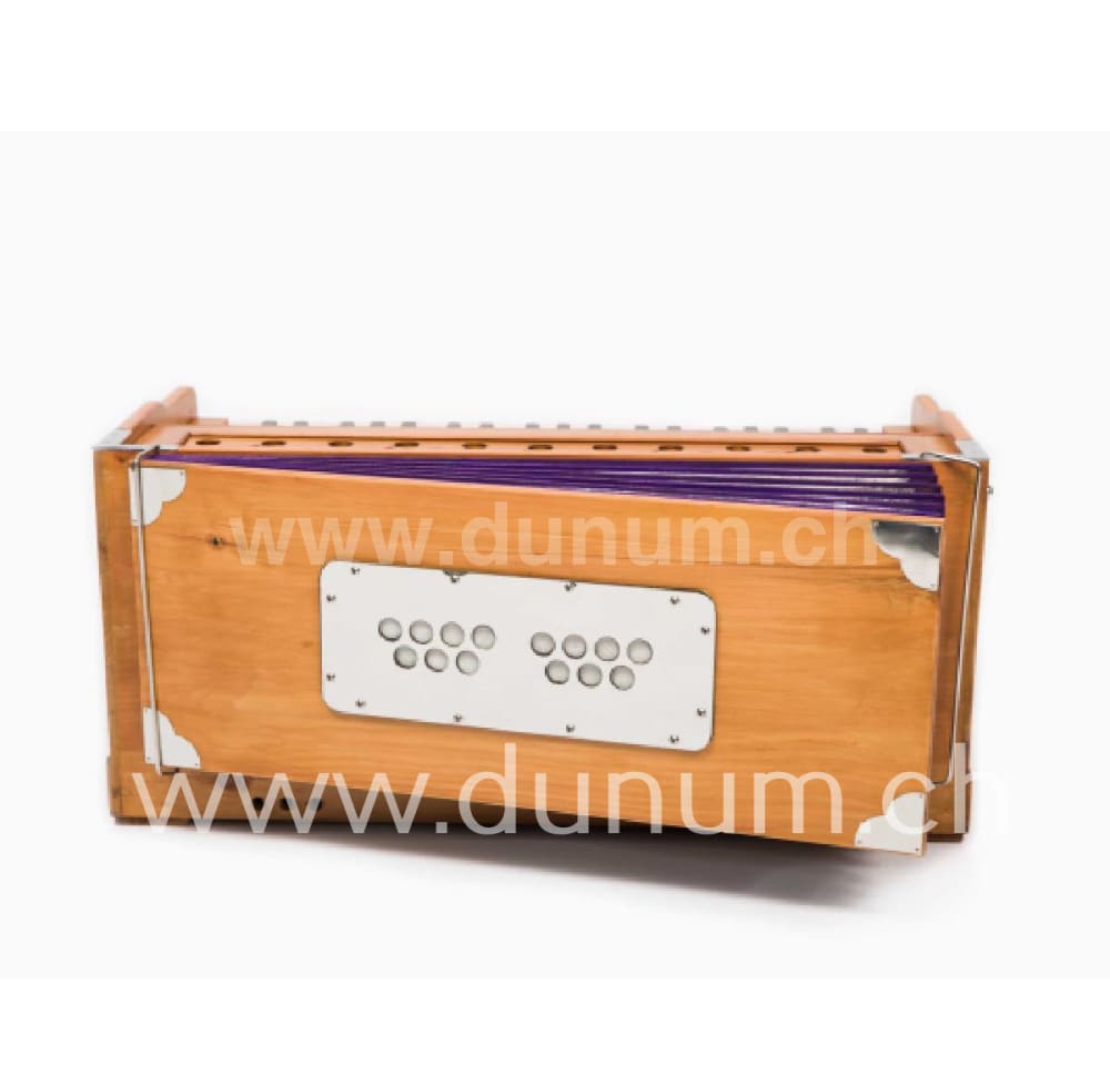 Bhava Studio Standart Edition