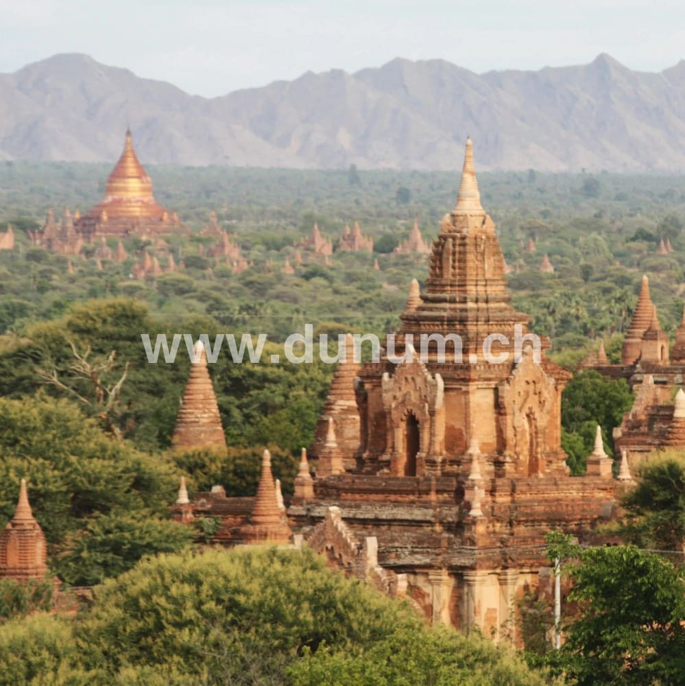 Burmesischer Handgong