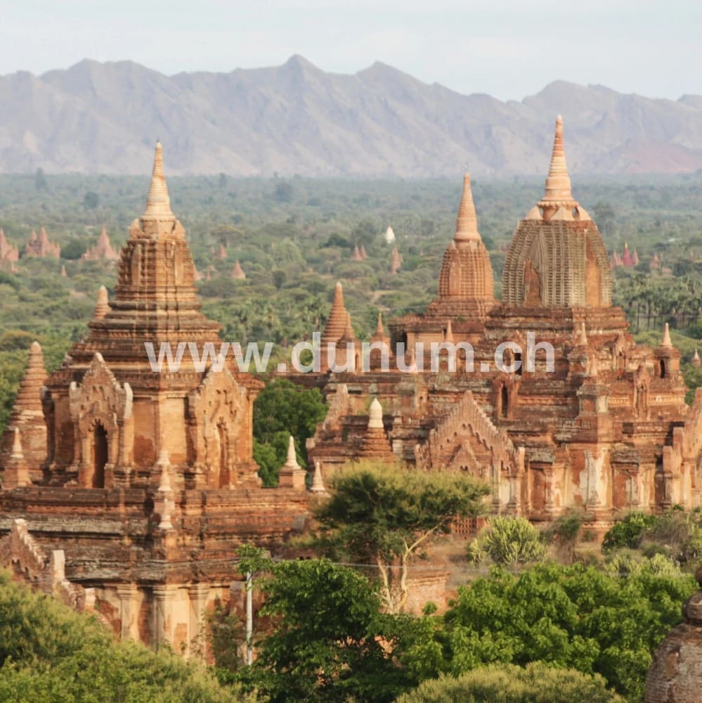 Burmesischer Handgong