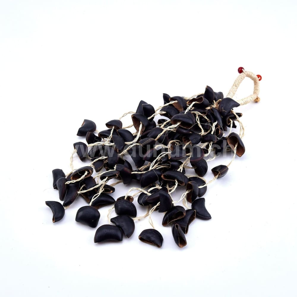 Cabalonga Nuss Shaker | Musikinstrumente für Gross & Klein | Klangeffektinstrumente | Dunum.ch