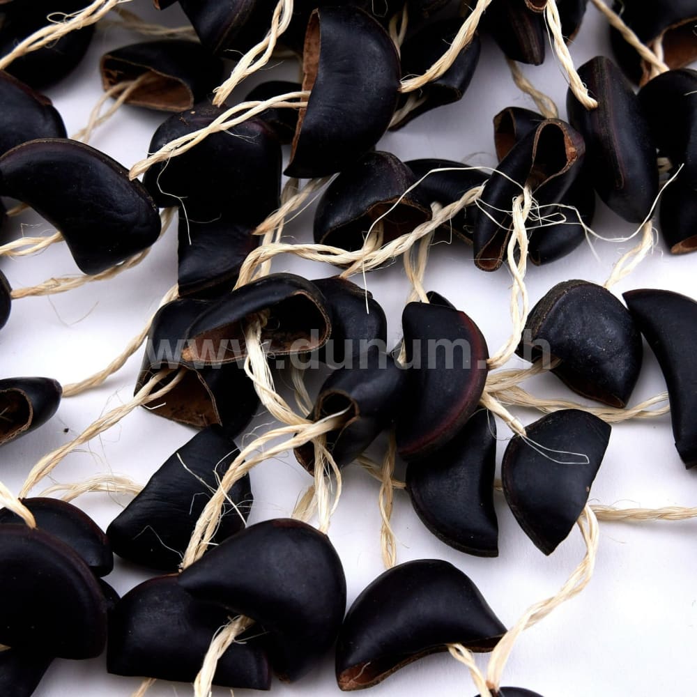 Cabalonga Nuss Shaker | Musikinstrumente für Gross & Klein | Klangeffektinstrumente | Dunum.ch