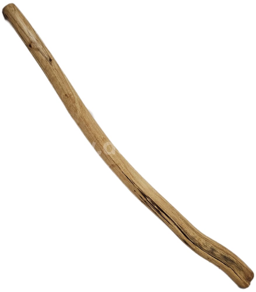 CH Didgeridoo - Erle