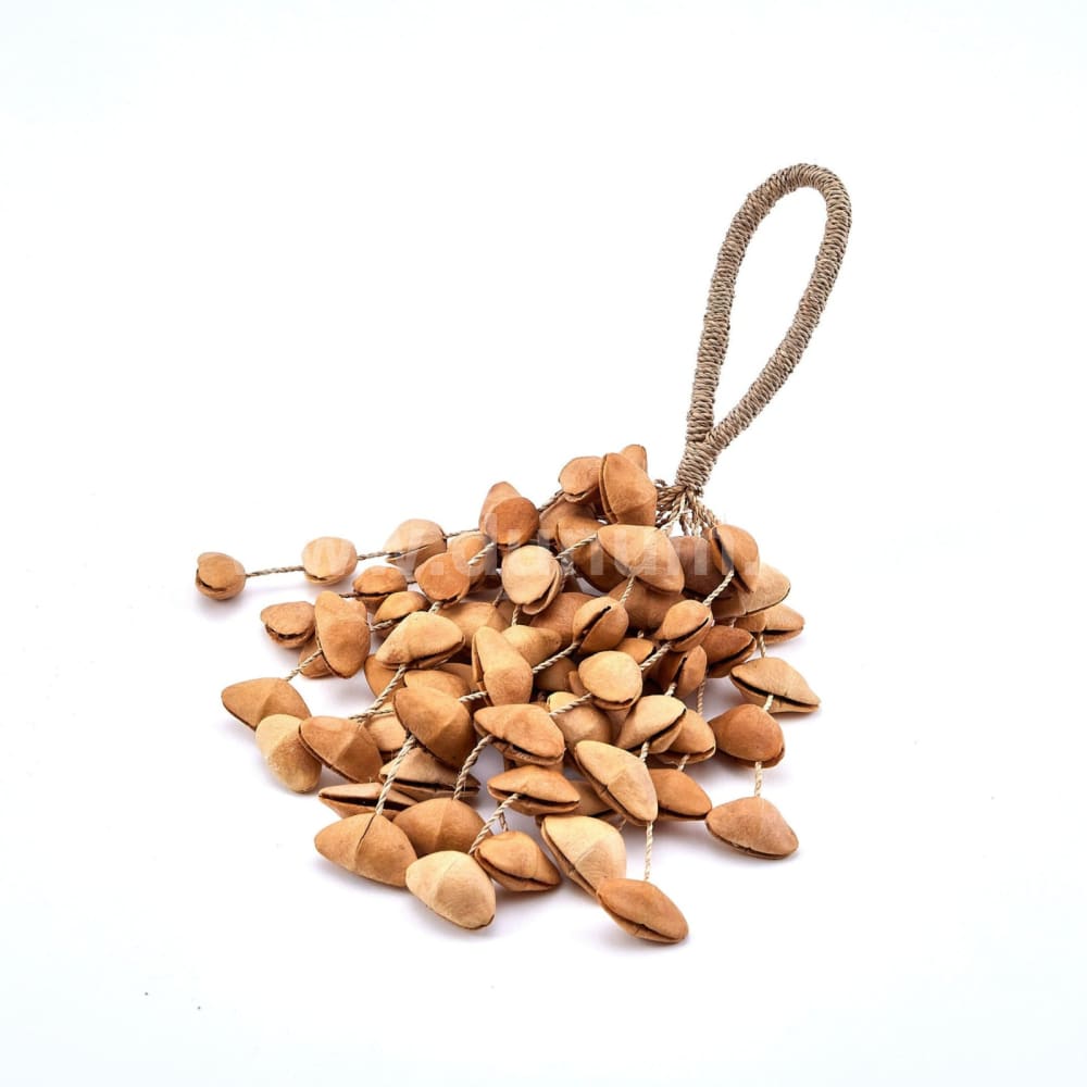 Chachanuss Rassel gross | Musikinstrumente für Gross & Klein | Klangeffektinstrumente | Dunum.ch