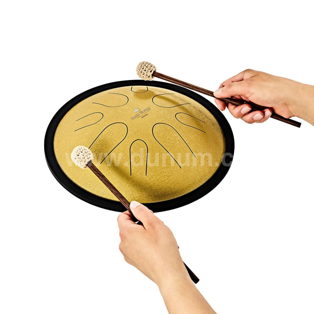 Compact Steel Tongue Drum | D Moll in 432 Hz | 8 Töne Zungentrommel