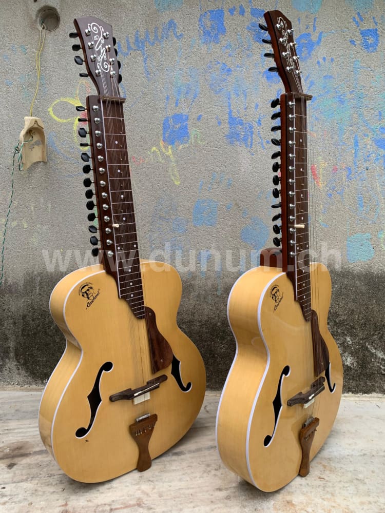Conchord Mohan Veena mit Koffer