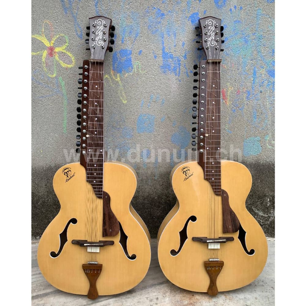 Conchord Mohan Veena mit Koffer