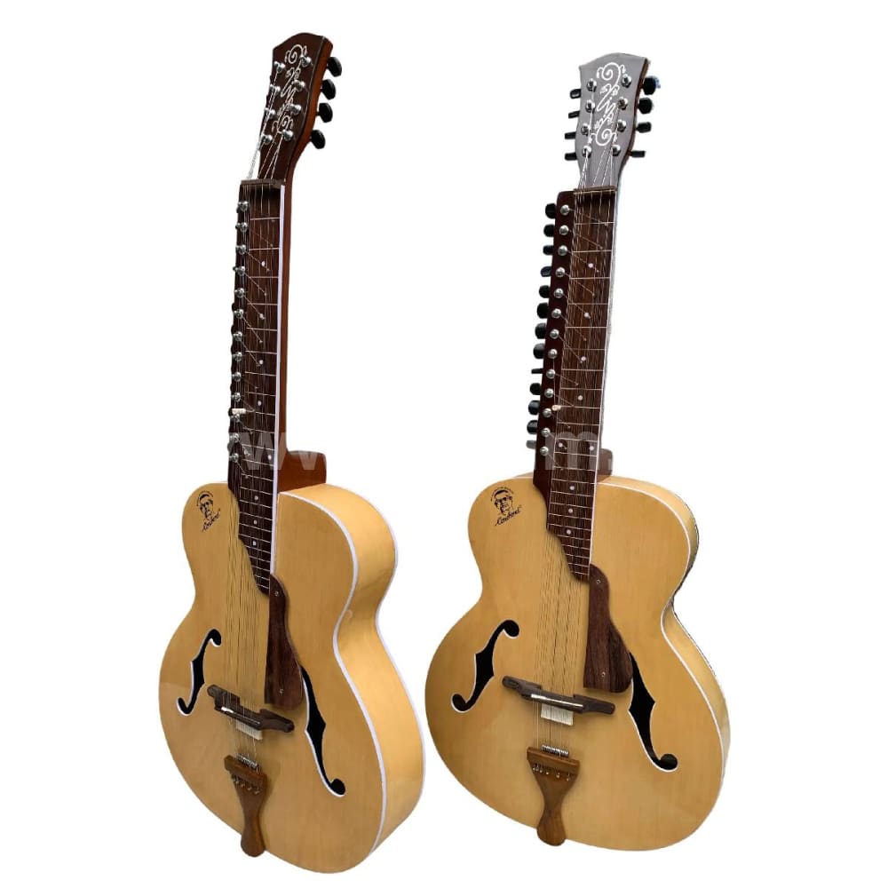 Conchord Mohan Veena mit Koffer