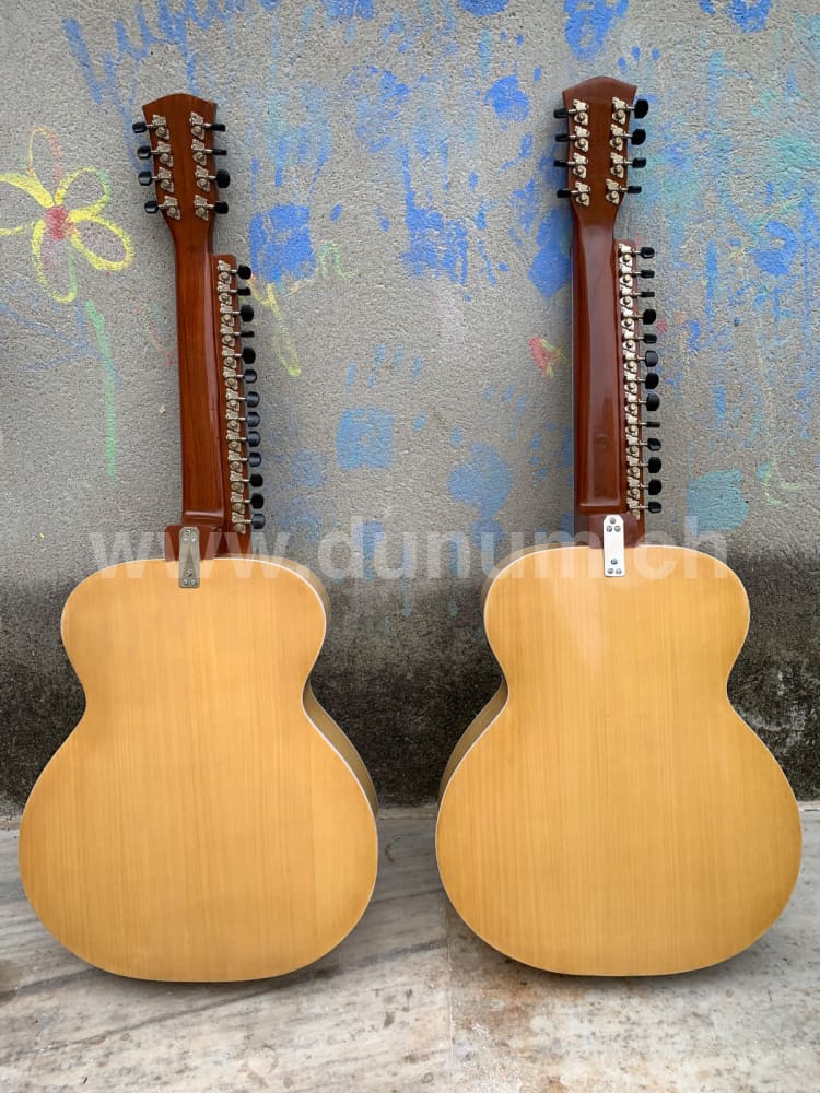 Conchord Mohan Veena mit Koffer